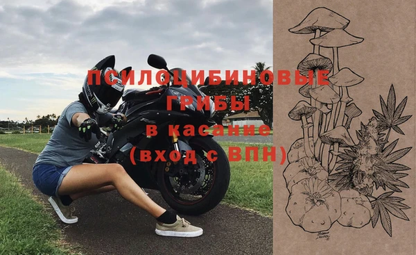 прущий лед Вяземский